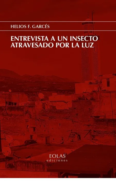 Entrevista a un Insecto Atravesado por la Luz