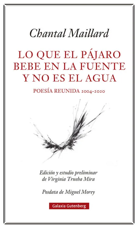 Lo que el Pájaro Bebe en la Fuente y no Es el Agua