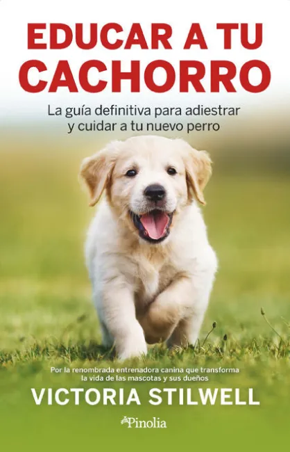 Educar a tu Cachorro