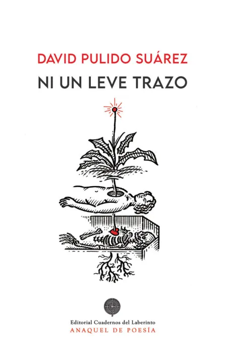 Ni un Leve Trazo