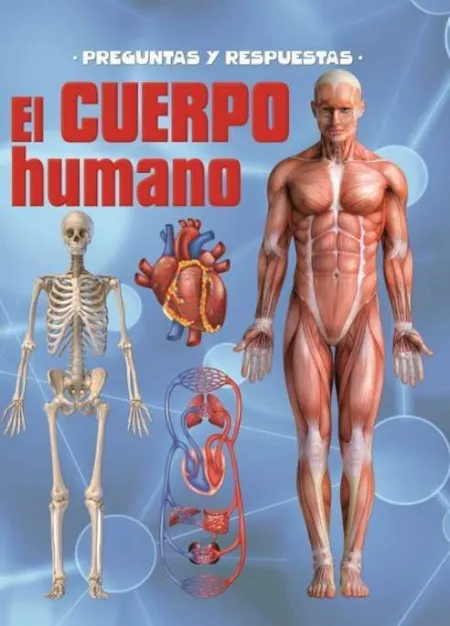 El Cuerpo Humano. Preguntas y Respuestas