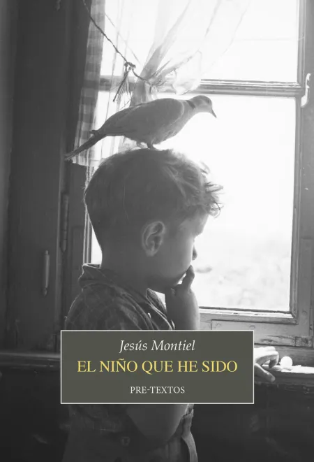 El Niño que He Sido
