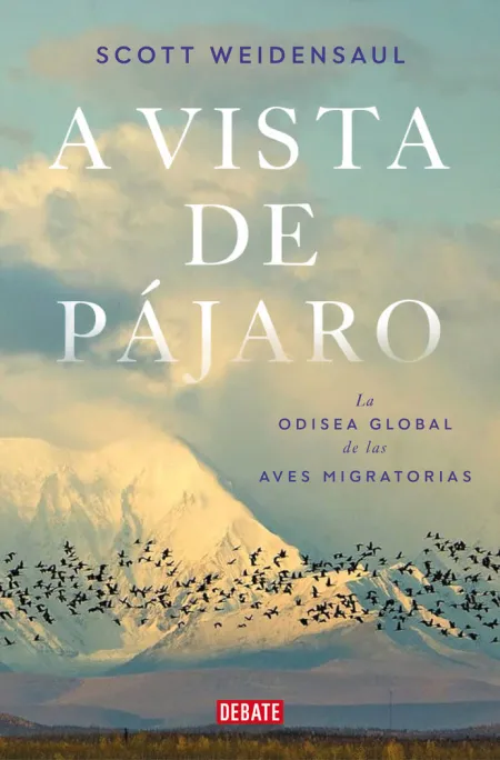 A Vista de Pájaro
