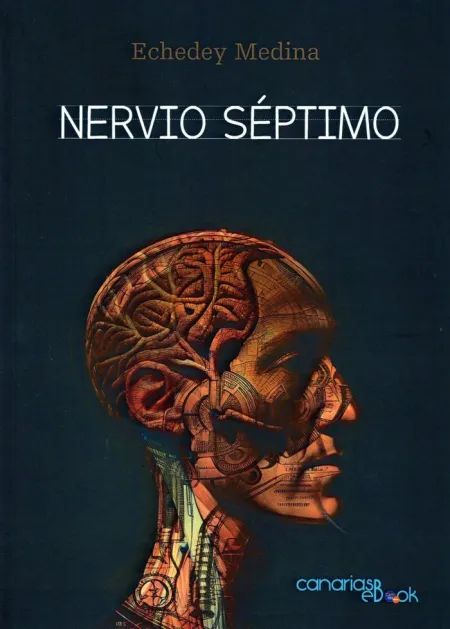 Nervio Séptimo