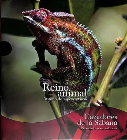 Cazadores de la Sabana. Reino Animal