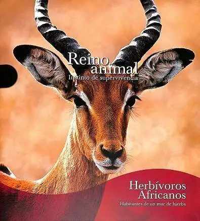 Hervivoros Africanos. Reino Animal