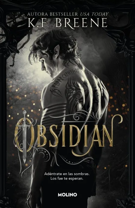 Obsidian (Los Fae de las Sombras 1)