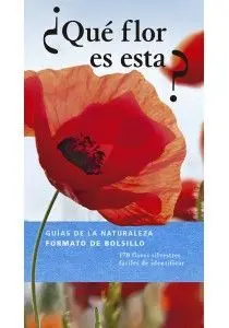 Que Flor Es Esta?