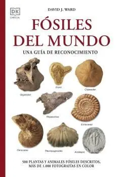Fósiles del Mundo