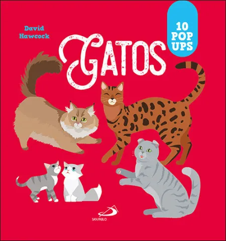Gatos 10 Pop Ups