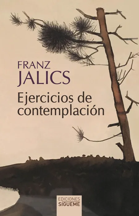 Ejercicios de Contemplación