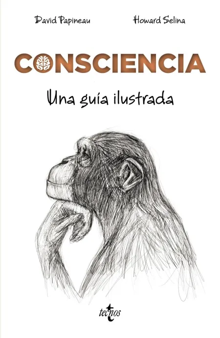 Consciencia. Una Guía Ilustrada