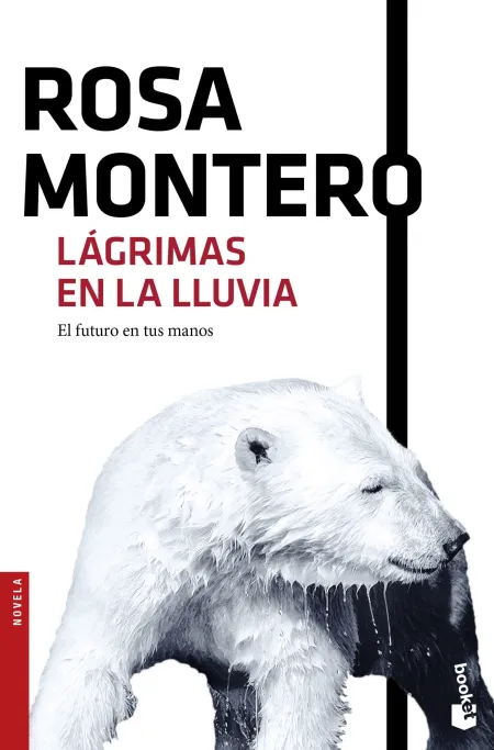 Lágrimas en la Lluvia