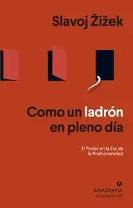Como un Ladron en Pleno Dia