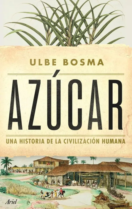 Azúcar
