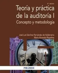 Teoria y Practica de la Auditoria I Concepto y Metodologia