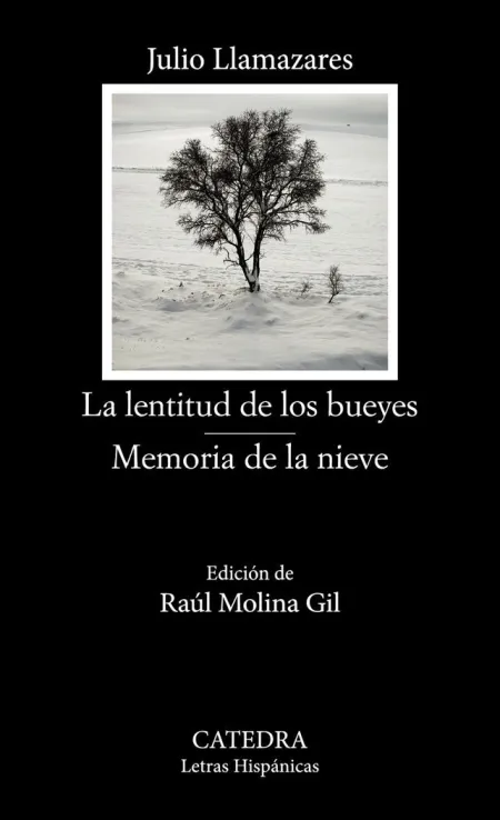 La Lentitud de los Bueyes / Memoria de la Nieve