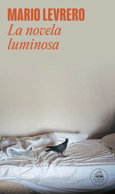 La Novela Luminosa