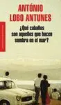 Que Caballos Son aquellos que Hacen Sombra en el Mar?