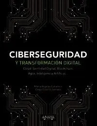Ciberseguridad y Transformacion Digital