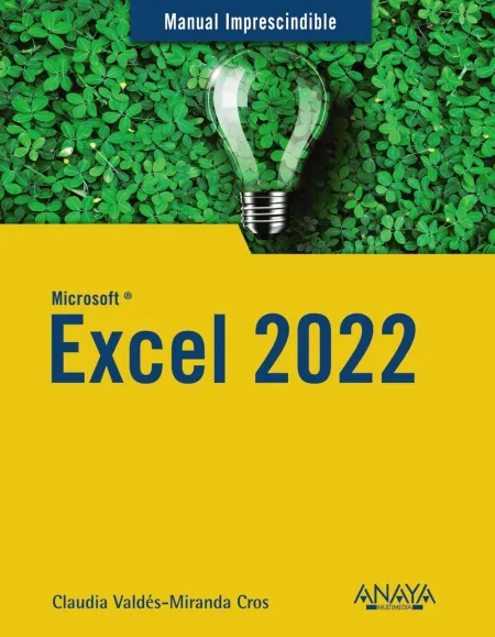 Excel 2022. Manual Imprescindible