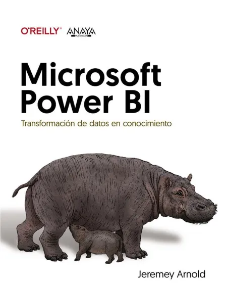 Microsoft Power Bi. Transformación de Datos en Conocimiento