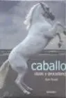 Caballos, Razas y Procedencia