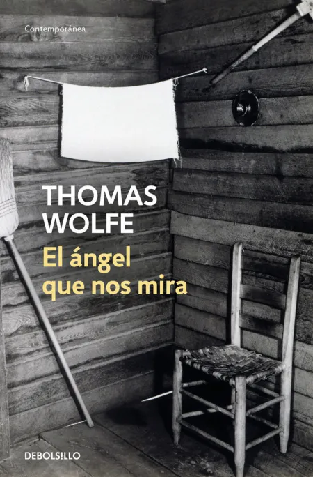 El Ángel que nos Mira