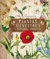 Atlas Ilustrado de Plantas Silvestres e Infusiones Curativas