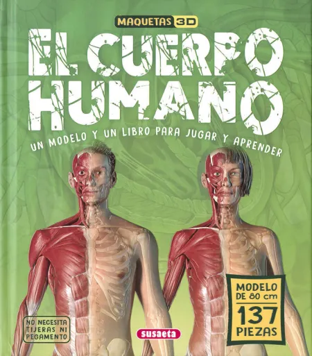 El Cuerpo Humano. Maquetas 3D