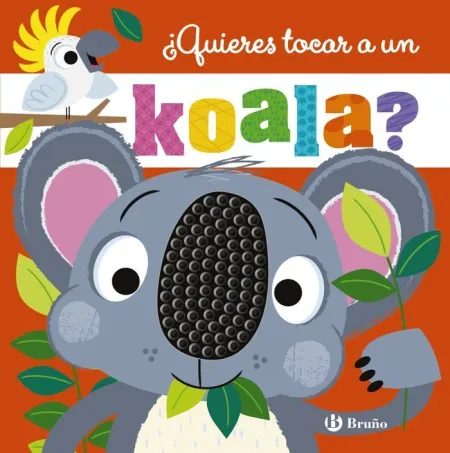 Quieres Tocar a un Koala?