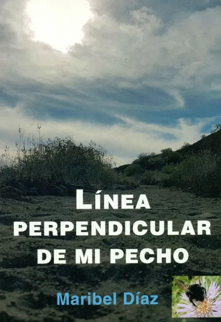 Linea Perpendicular de mi Pecho