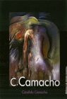 CANDIDO CAMACHO. BIBLIOTECA DE ARTISTAS CANARIOS 49