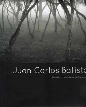 JUAN CARLOS BATISTA - BIBLIOTECA DE ARTISTAS CANARIOS 67