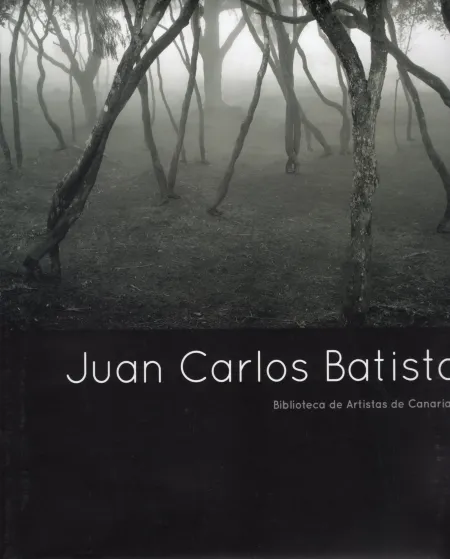 Juan Carlos Batista - Biblioteca de Artistas Canarios 67