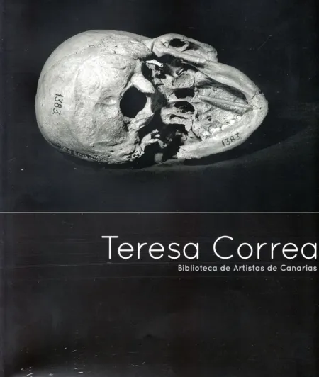 Teresa Correa. Biblioteca de Artistas de Canarias 77