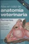 Atlas en Color de Anatomia Veterinaria. Rumiantes + Evolve