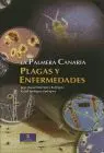 Palmera Canaria, la. Plagas y Enfermedades