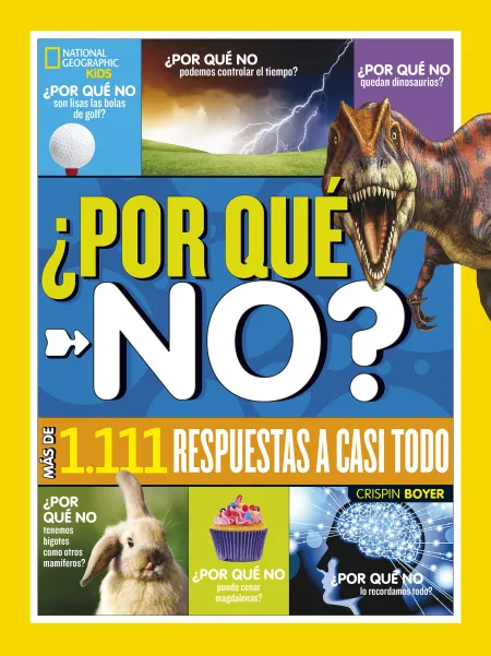 Por qué No?