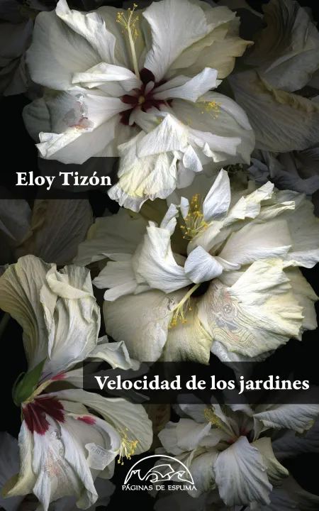Velocidad de los Jardines (R)
