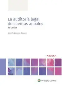 La Auditoria Legal de Cuentas Anuales