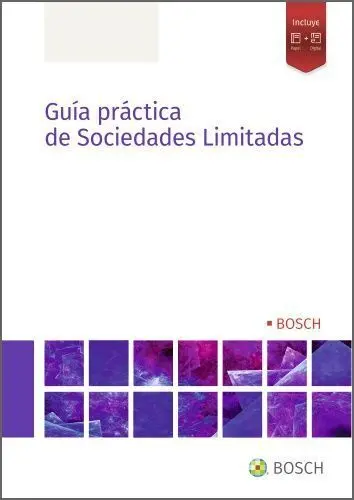 Guía Práctica de Sociedades Limitadas