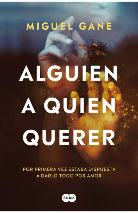 Alguien a Quien Querer