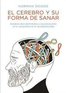El Cerebro y Su Forma de Sanar