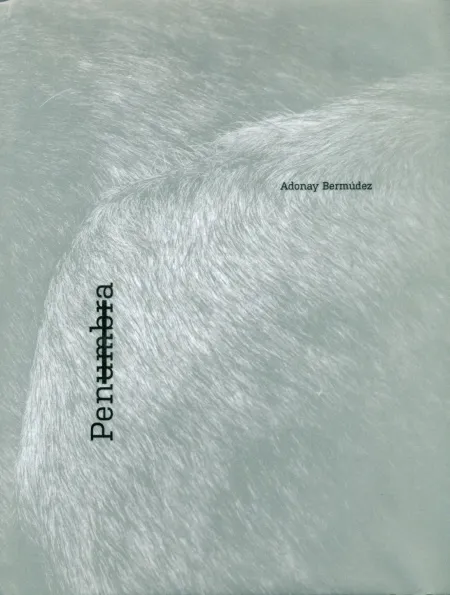 Penumbra