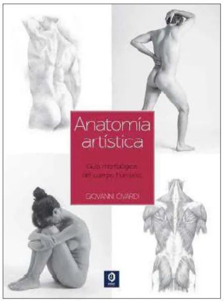 Guía Esencial del Dibujo Anatomía Artística