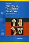 ANATOMIA DE LOS ANIMALES DOMESTICOS T.I APARATO LOCOMOTOR