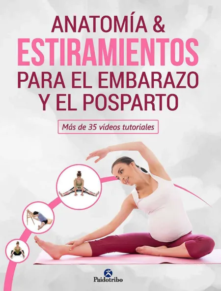Anatomía & Estiramientos para el Embarazo y el Posparto