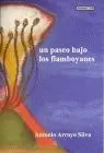 Un Paseo Bajo los Flamboyanes