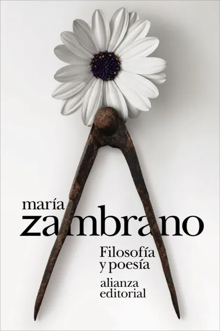 Filosofia y Poesia